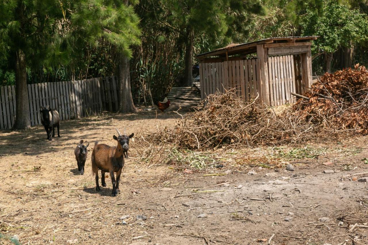 Villa Arneiro 1 Maçeira Esterno foto